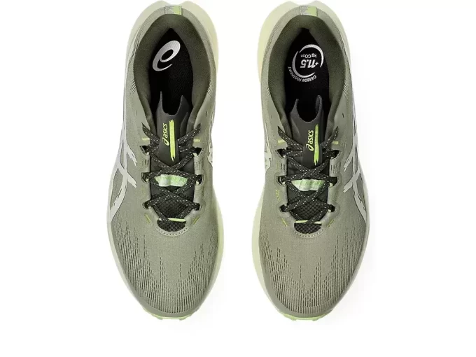 FujiLite 6