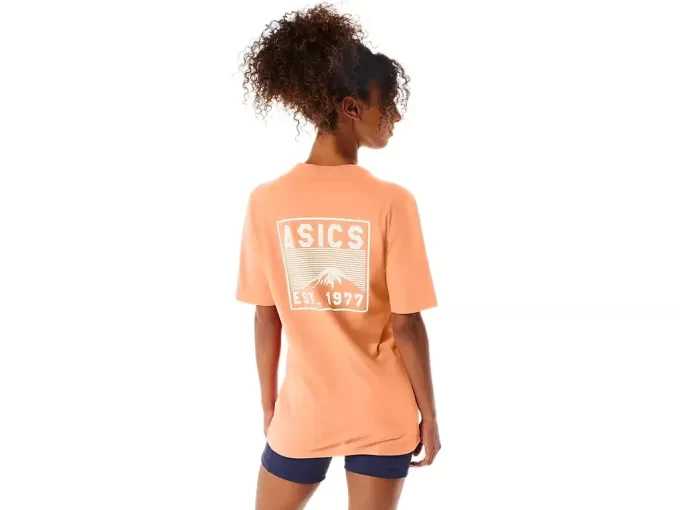 T-SHIRT FUJI 1977