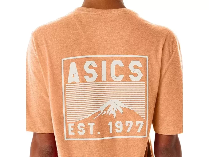 T-SHIRT FUJI 1977