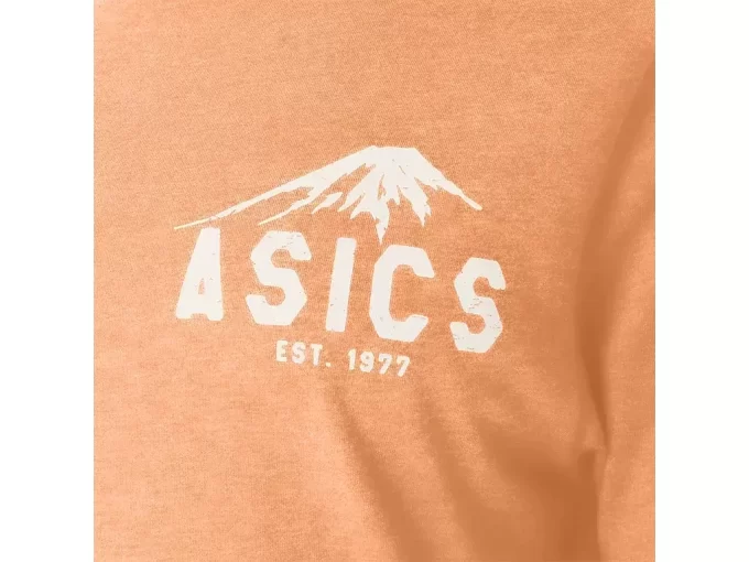 T-SHIRT FUJI 1977